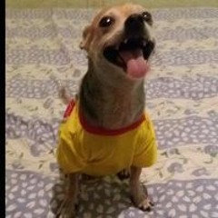 Jamesarevalo Arevalo