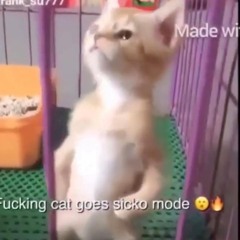 Sleepy fren
