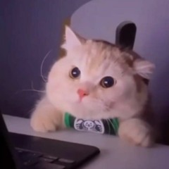 Jacky