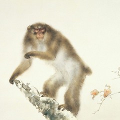 Yaibisalki