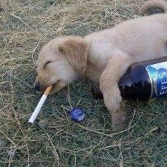 fffff