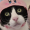 jaemiii