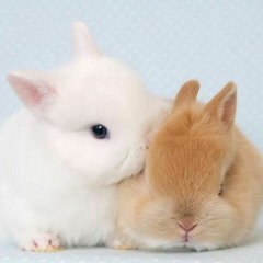 I Love DIY makeup Tutorials