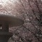 つまらない