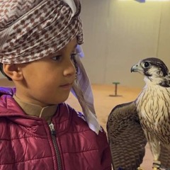 طير شلوى