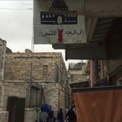 تَسْنِيم