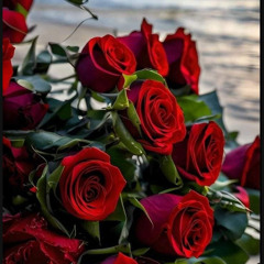 LLMRG 🕊️❤️🥀