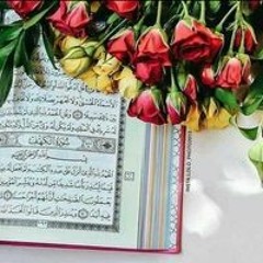 بوسي كات