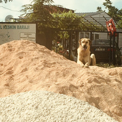 Yağmur
