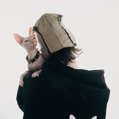 Фикс Железняк