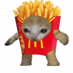 Cat fries 🍟