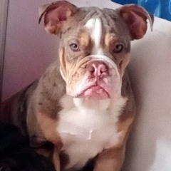 Samadhy Cataño Sanchez