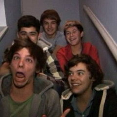 ✨✨ONE DIRECTION LOVER✨✨