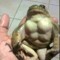 strong frog