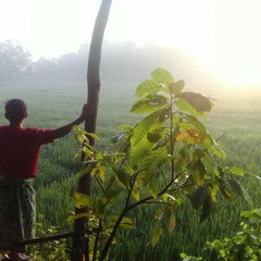 Ridwan Siregar