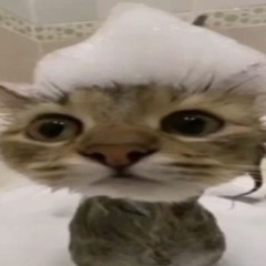 KfpEmployee