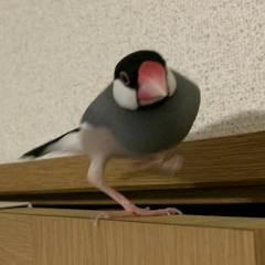 八月の晩秋 ~制作時間2時間バージョン~