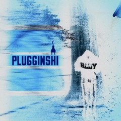plugginshi