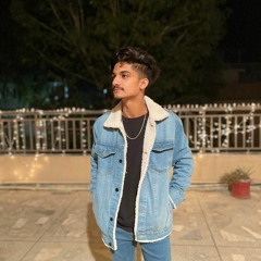 ARSAL ALVI