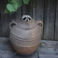 SOYJA