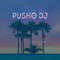 PUSH0 DJ