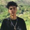 amir