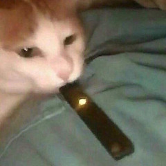 TheNightIsOver