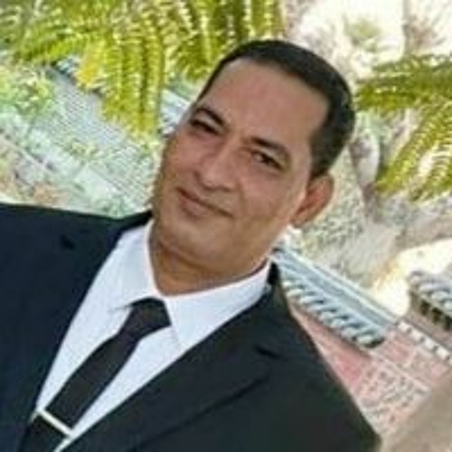 Ayman Fawzy’s avatar