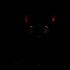 schubie666
