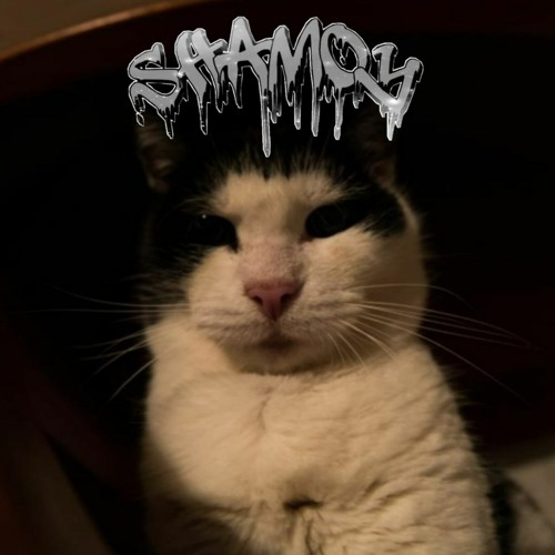 SHAMOY 🐊’s avatar