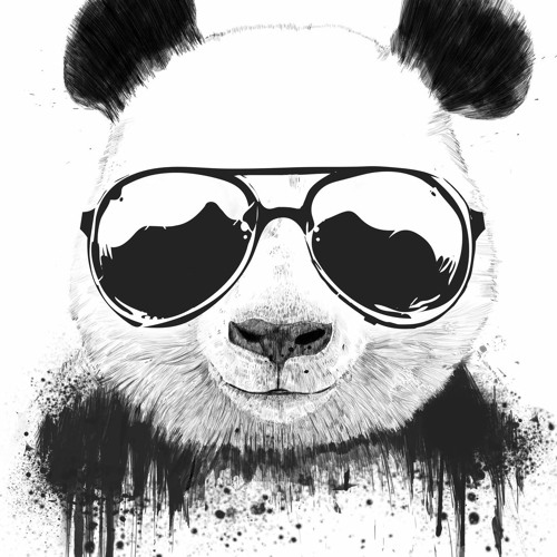 Ricardo "Panda" Costa’s avatar