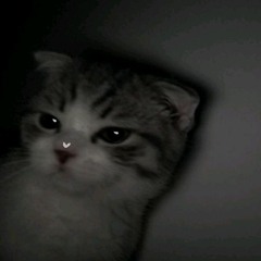 Chel_
