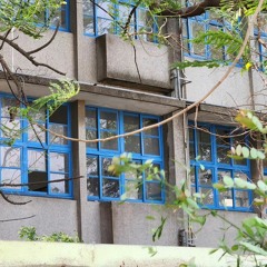 Kazinomitsu