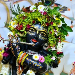 Siddhrath Cheeda