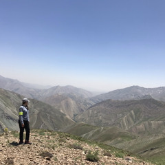 parisa mohseni