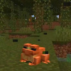 drzzzz
