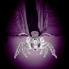 TRANSANT · KARINCA