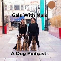 Gals With Mals Podcast