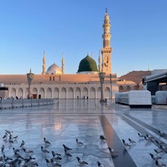 عمرو محسن غبور