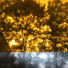 Christian Langendorf