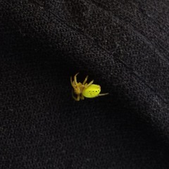 Я стану героєм хоча б для однієї людини