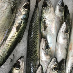 . .   ..   .   . ...    .