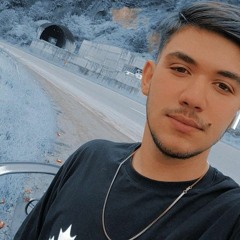 ehsan s