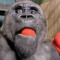 Monkey Man