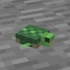 kō🦢˚