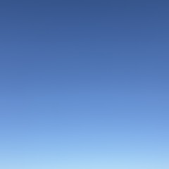 Pedrocjr