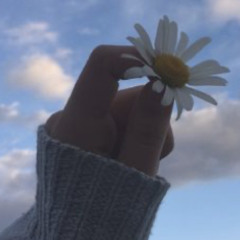 عبير الحربي