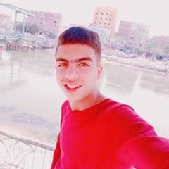 Mahmoud M Hemdan