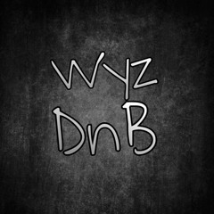WyzDNB