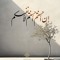 Hossam Hassan